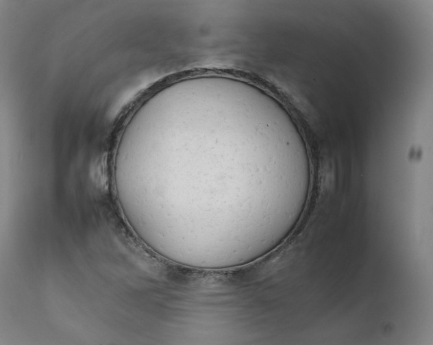 X0000111231262200907231456