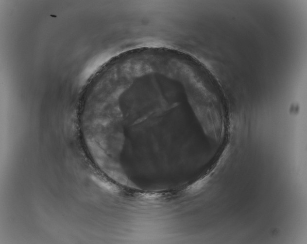 X0000111231263200907231456