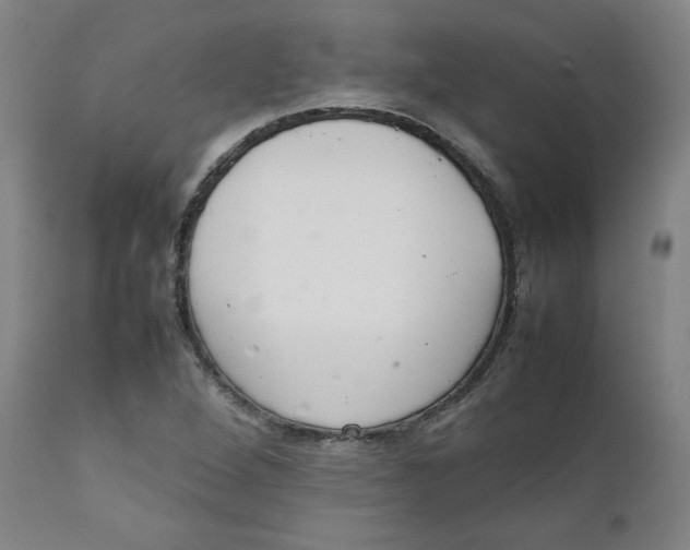 X0000111231264200907231456