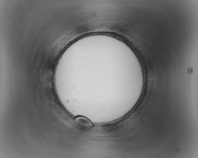 X0000111231265200907231456