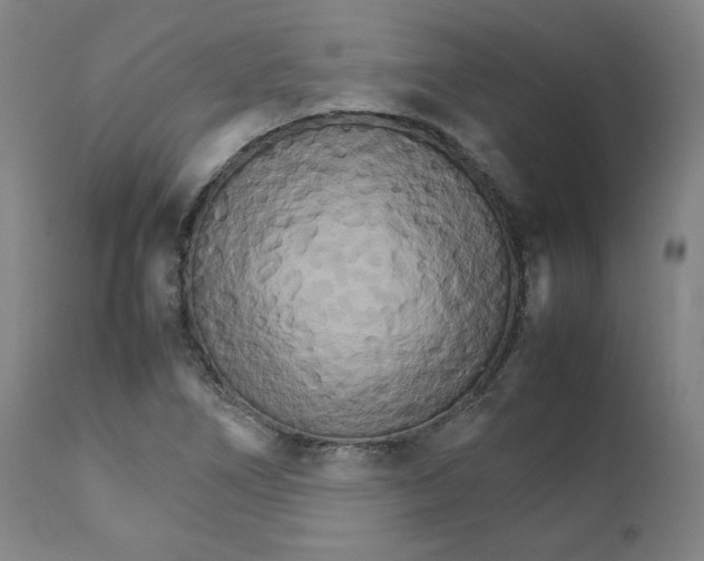 X0000111231266200907231456