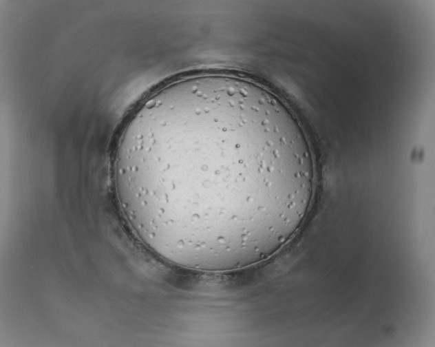 X0000111231267200907231456