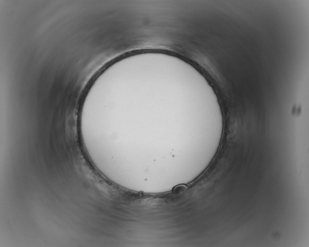 X0000111231268200907231456