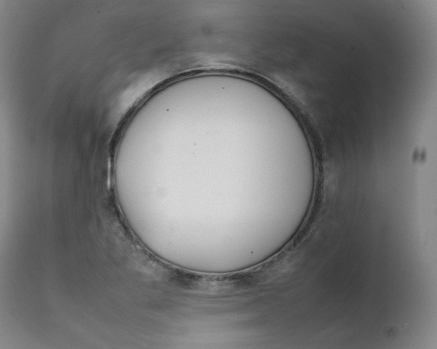 X0000111231269200907231456