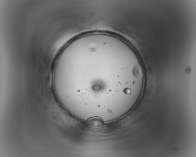 X0000111231271200907231456