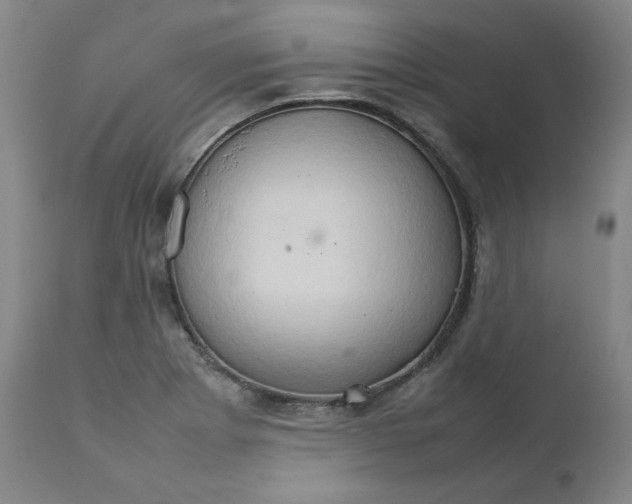 X0000111231273200907231456