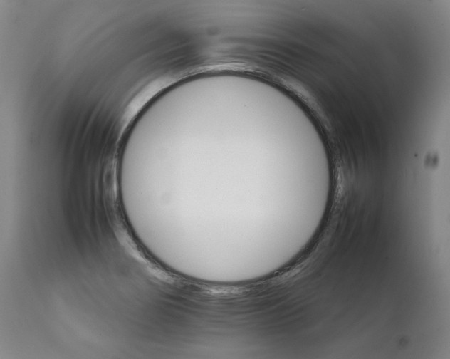 X0000111231274200907231456