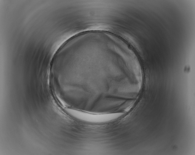 X0000111231276200907231456