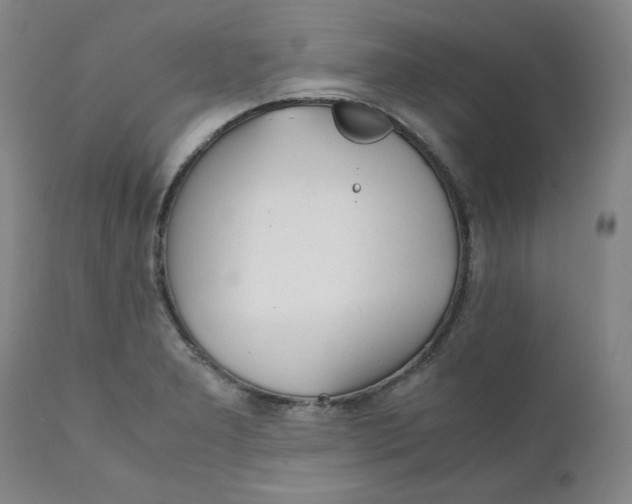 X0000111231277200907231456
