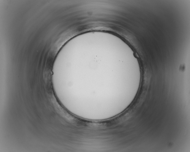 X0000111231281200907231456