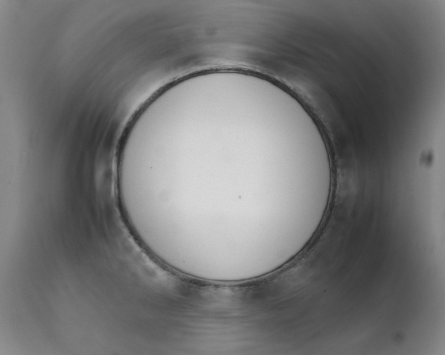 X0000111231286200907231456