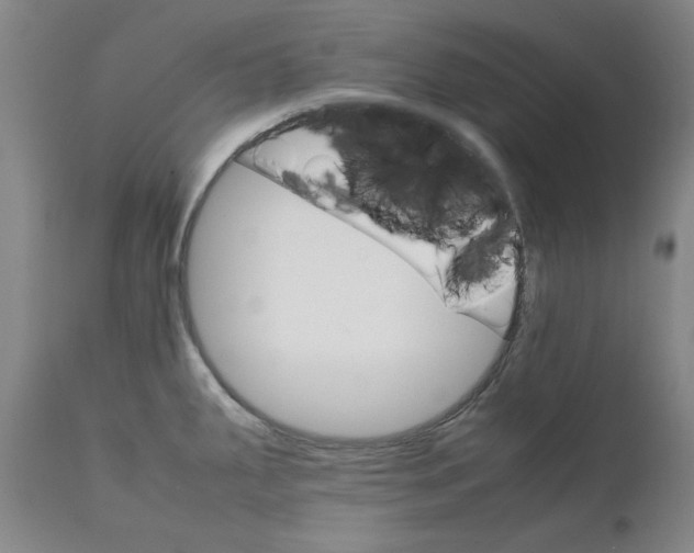 X0000111231287200907231456