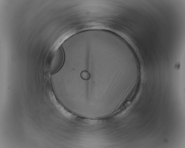 X0000111231289200907231456