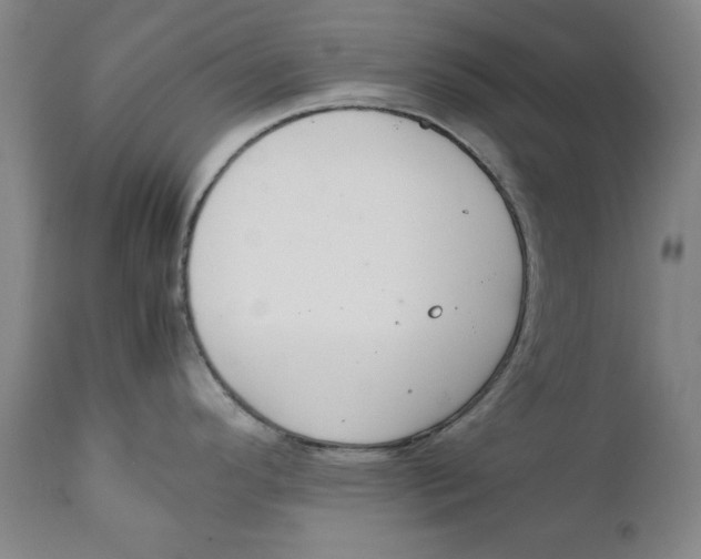 X0000111231296200907231455