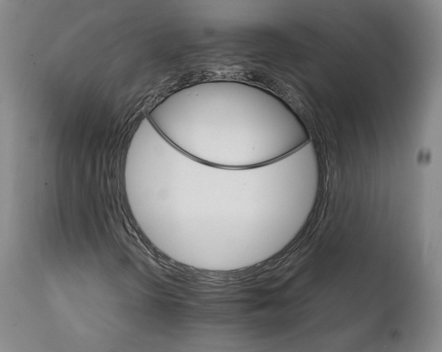 X0000111231298200907231455