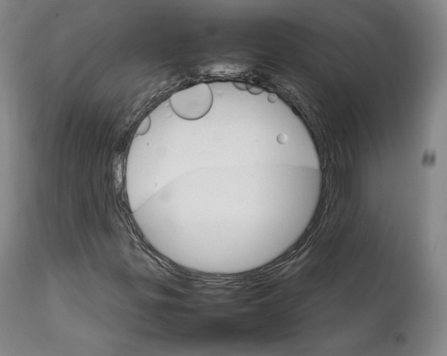 X0000111231299200907231455
