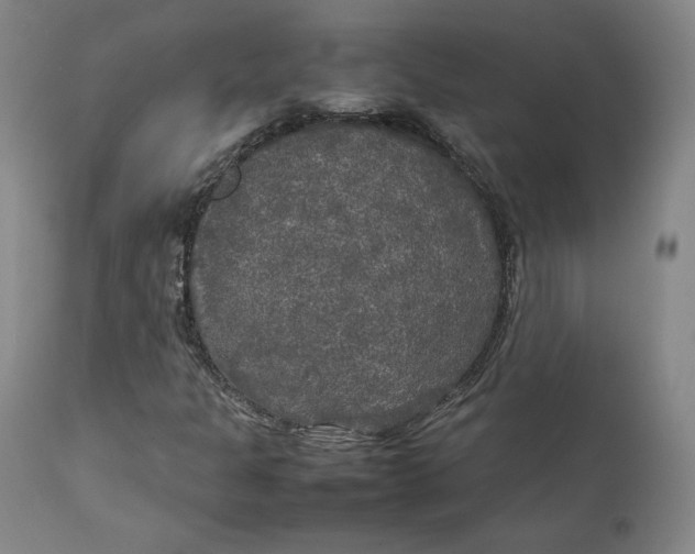 X0000111231301200907231455