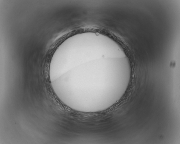 X0000111231303200907231455