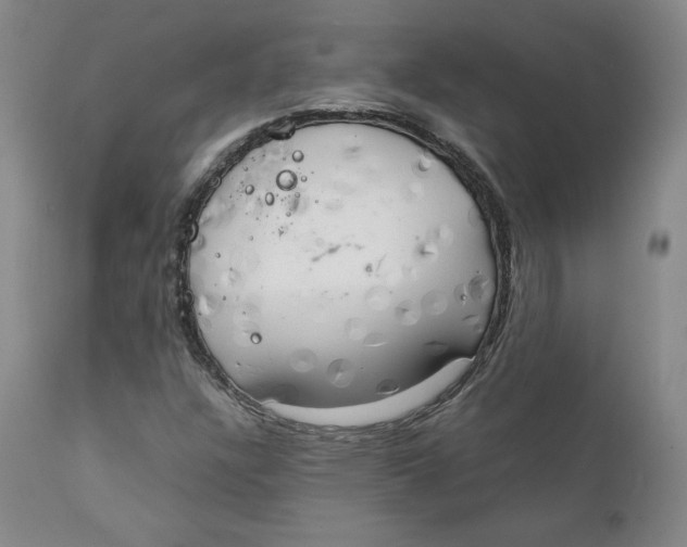 X0000111231304200907231455