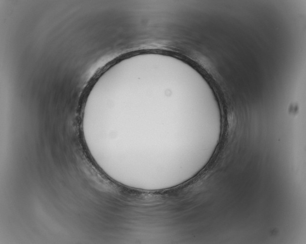 X0000111231308200907231455
