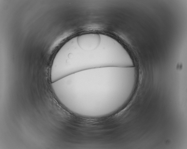 X0000111231309200907231455