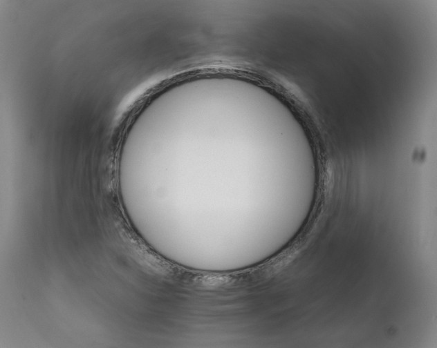 X0000111231310200907231455