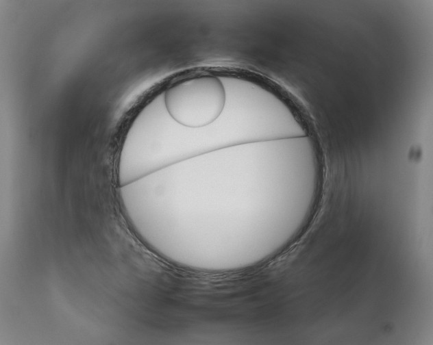 X0000111231311200907231455