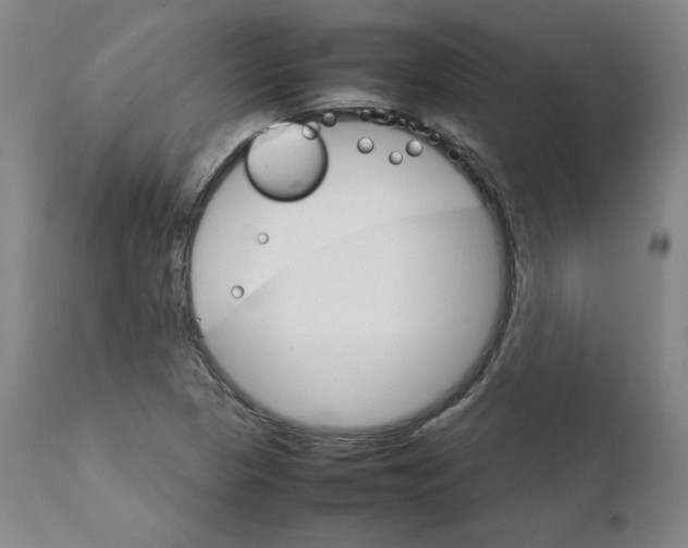 X0000111231313200907231455