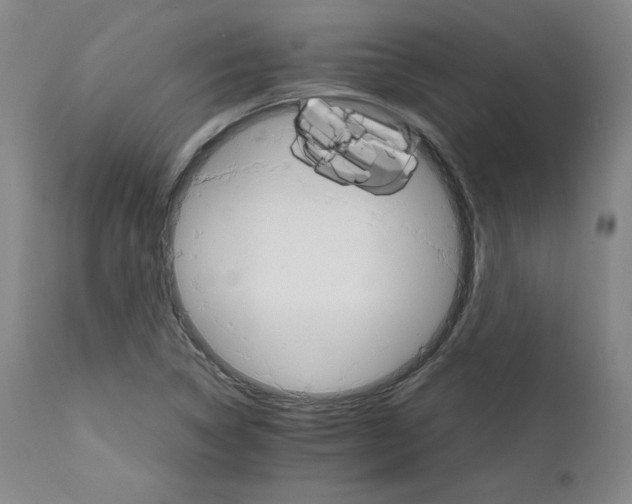 X0000111231314200907231455