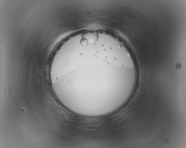 X0000111231315200907231455