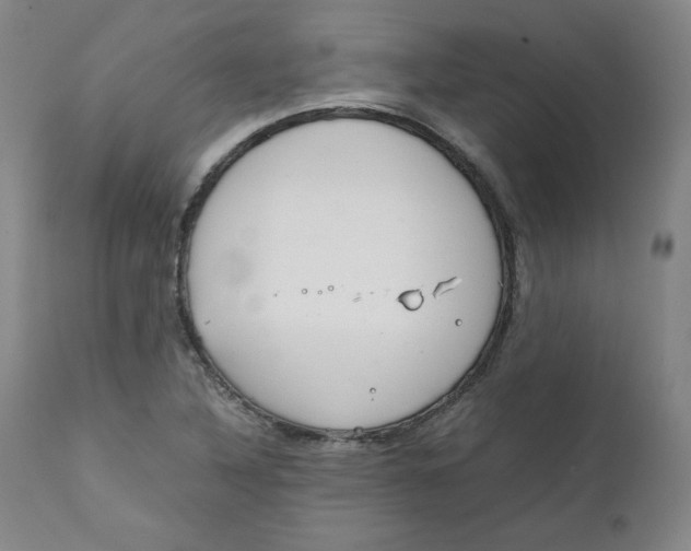X0000111231316200907231455