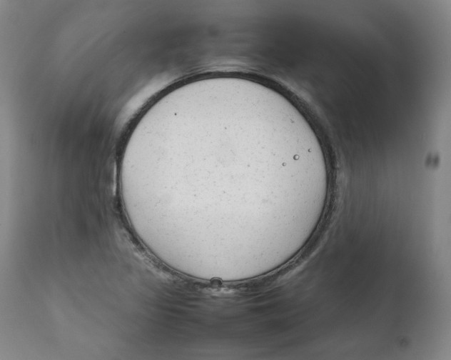 X0000111231317200907231455