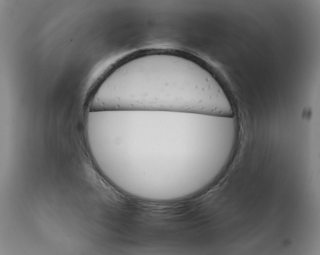 X0000111231319200907231455