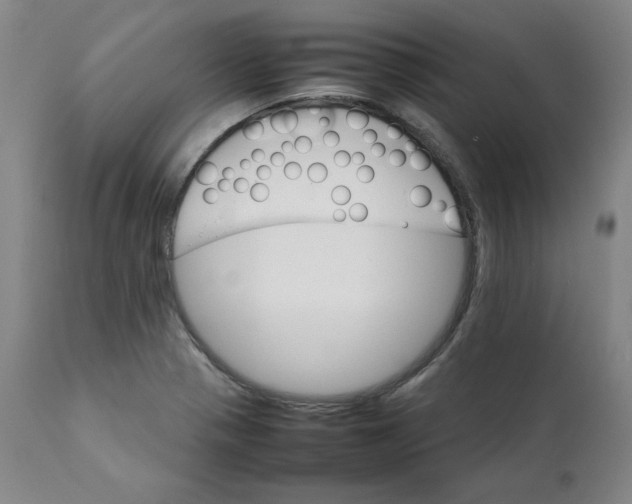 X0000111231321200907231455