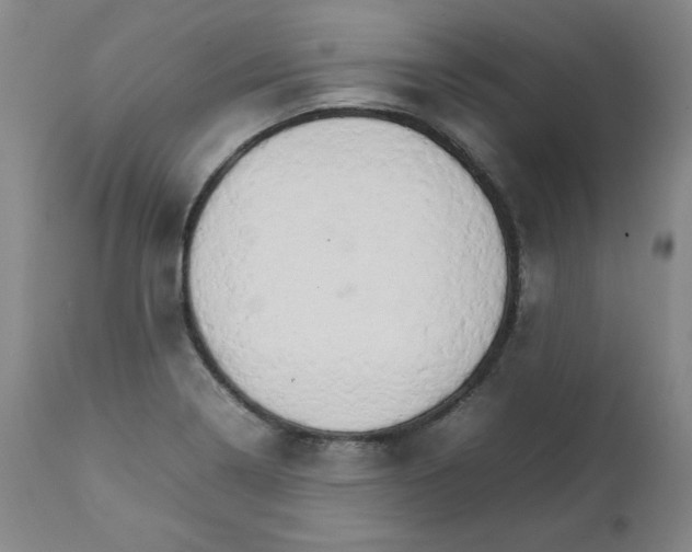 X0000111231322200907231455
