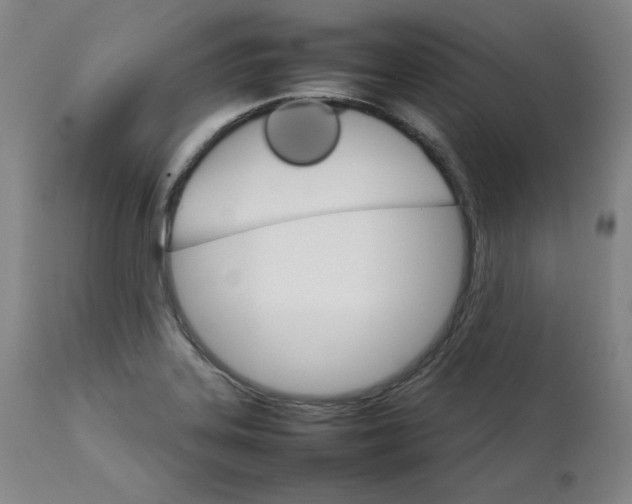 X0000111231323200907231455