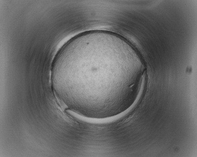 X0000111231324200907231455