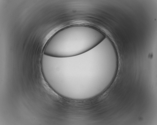 X0000111231330200907231455