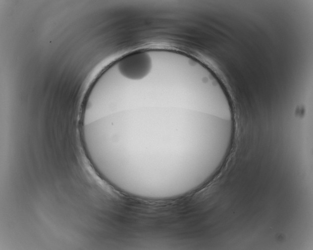 X0000111231331200907231455