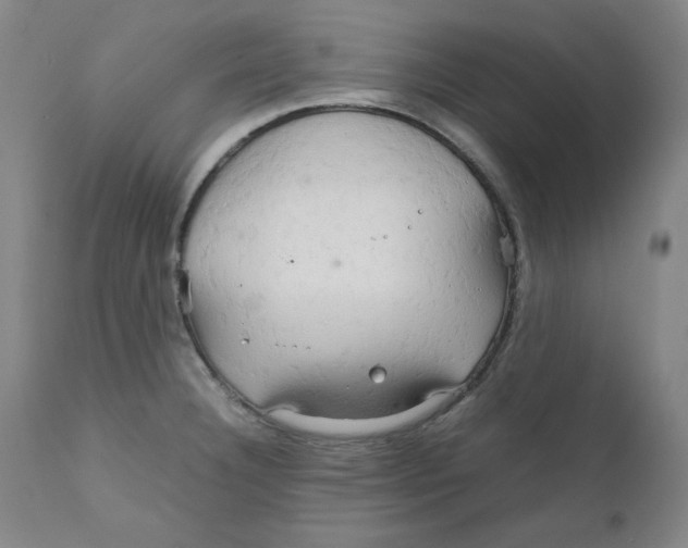 X0000111231332200907231455