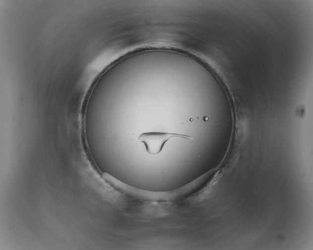 X0000111231335200907231455