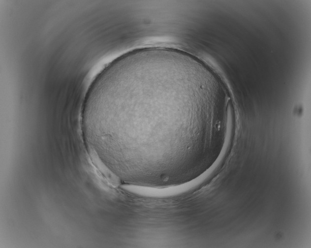 X0000111231336200907231455