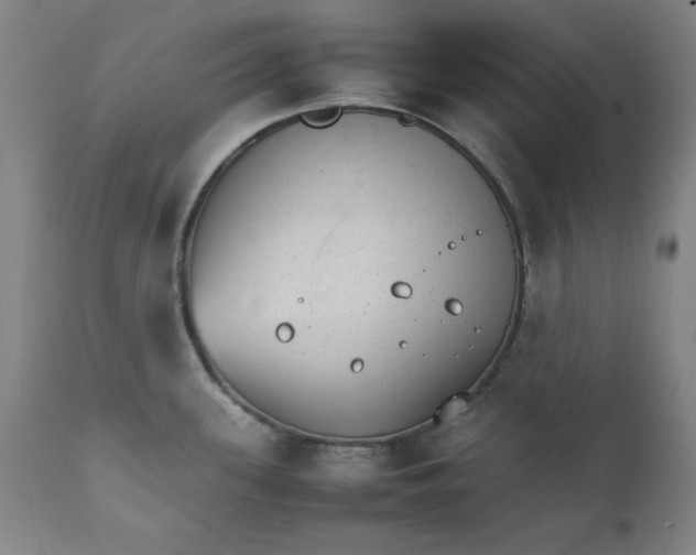 X0000111231339200907231455