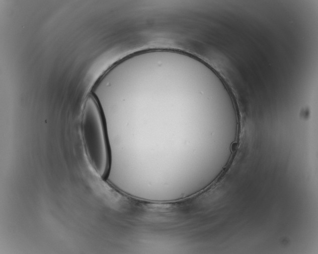 X0000111231342200907231455