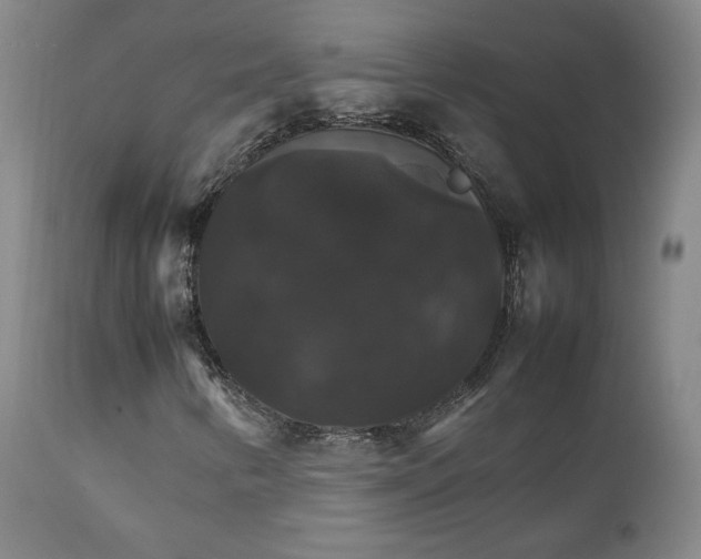 X0000111231346200907231455