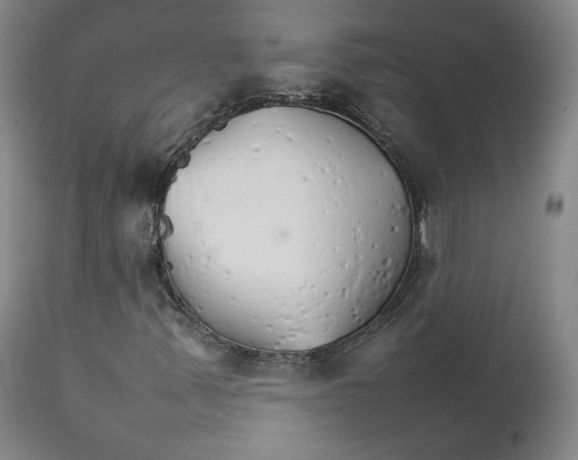 X0000111231347200907231455
