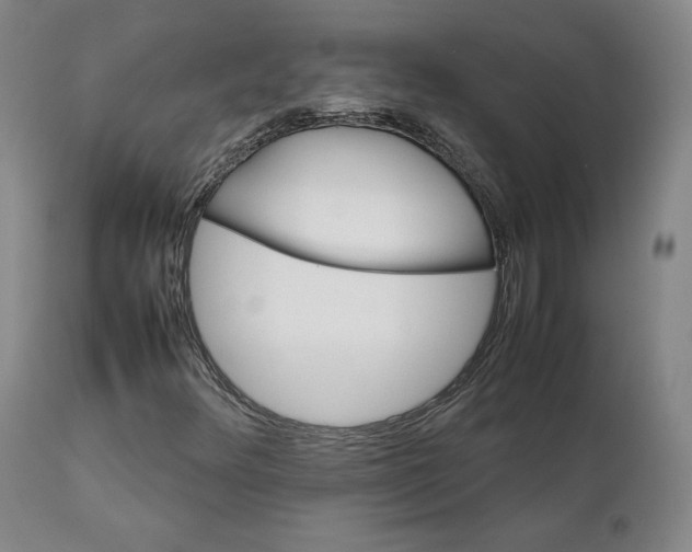 X0000111231348200907231455
