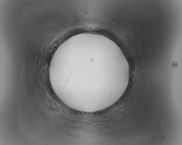 X0000111231349200907231455