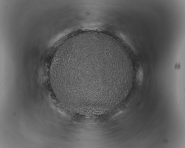 X0000111231350200907231455