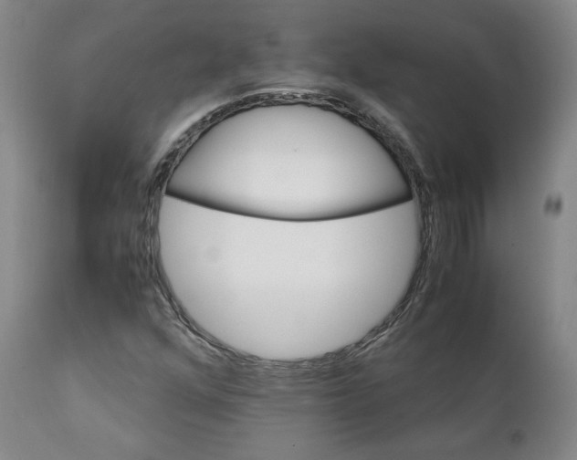 X0000111231352200907231454